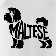 Maltézský psík nápis v těle