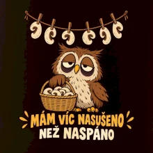 Mám víc nasušeno než naspáno
