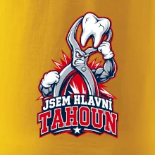 Jsem hlavní tahoun