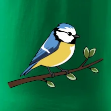 Sýkorka modřinka na větvi