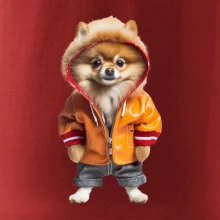 Pomeranian v bundě