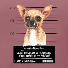 Lump a darebák čivava