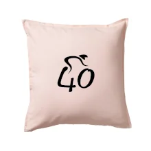 Cyklista slaví čtyřicítku (40)