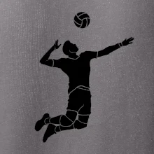 Volejbal nápřah muž