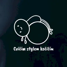 Cvičím stylem kočičím