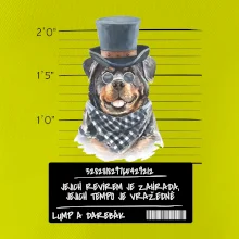 Lump a darebák rotvajler