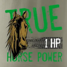 True Horse Power 1 HP