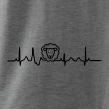 Ekg ovce