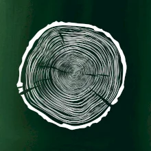 Letokruhy 75 bez věku