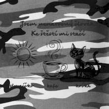 Jsem nenáročný člověk. Ke štěstí mi stačí sluníčko kafe kočka