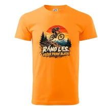 Ráno les večer praní bláta na kole