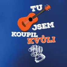 Tu kytaru jsem koupil kvůli tobě