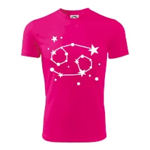 Souhvězdí - Cancer - Rak