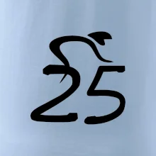 Cyklista slaví pětadvacítku (25)