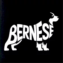 Bernese Mountain Dog nápis v těle