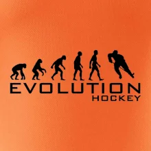 Evoluce Hockey - hráč
