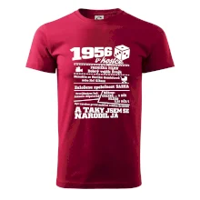 1956 v kostce