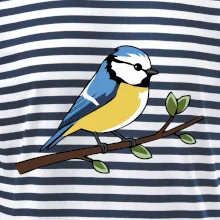 Sýkorka modřinka na větvi