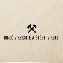 BINEĆ V KSICHTĚ A ŠTĚSTÍ V KOLE﻿