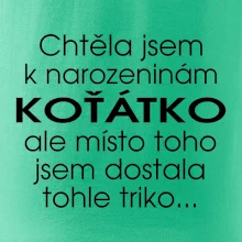 Chtěla jsem dostat k narozeninám koťátko