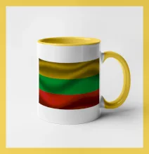 Litva vlajka obdélník