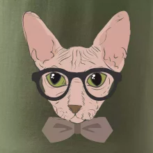 Hipster sphynx