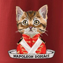 Napoleon domácí kočka
