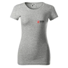 SDH nápis (oheň, název sboru - vlastní nápis)