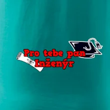 Pro tebe pan Inženýr