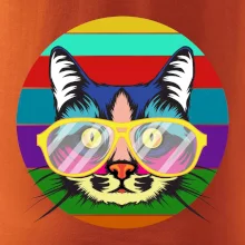 Kočka při barevném západu