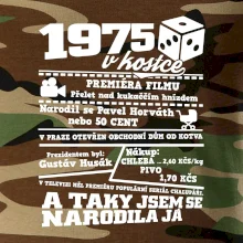1975 v kostce