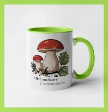 Hřib smrkový - Boletus edulis kreslený