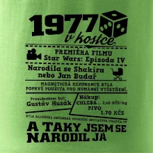 1977 v kostce