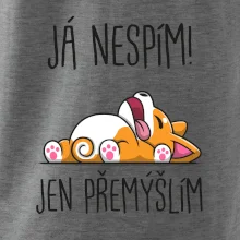 Já nespím, jen přemýšlím