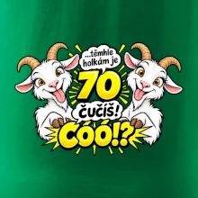Těmhle holkám je 70, čučíš co?