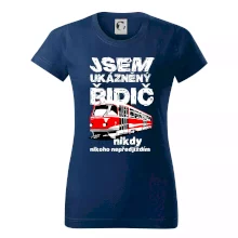 Jsem ukázněný řidič - tramvaj