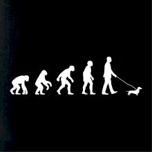 Jezevčík Evoluce muž / žena