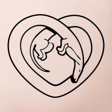 Jezevčík srdce - obrys