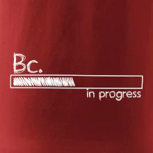 In progress  titul Bc. bakalář / bakalářka