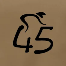 Cyklista slaví pětačtyřicítku (45)