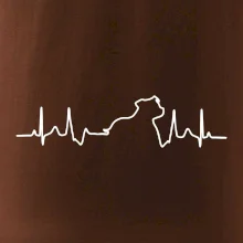 Stafordšírsky bulteriér EKG