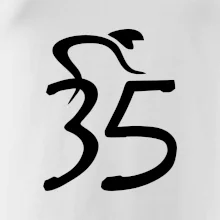 Cyklista slaví pětatřicítku (35)