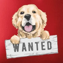 Zlatý retriever - štěně wanted
