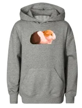 Morče - kreslené z boku