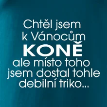 Chtěl jsem dostat k Vánocům koně