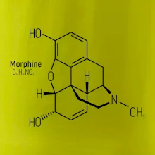 Molekulární struktura Morfin
