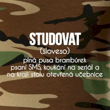 Studovat