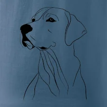 Labrador černá kresba