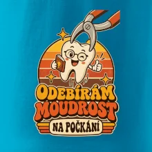 Odebírám moudrost na počkání