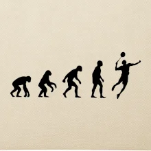 Evoluce Badminton